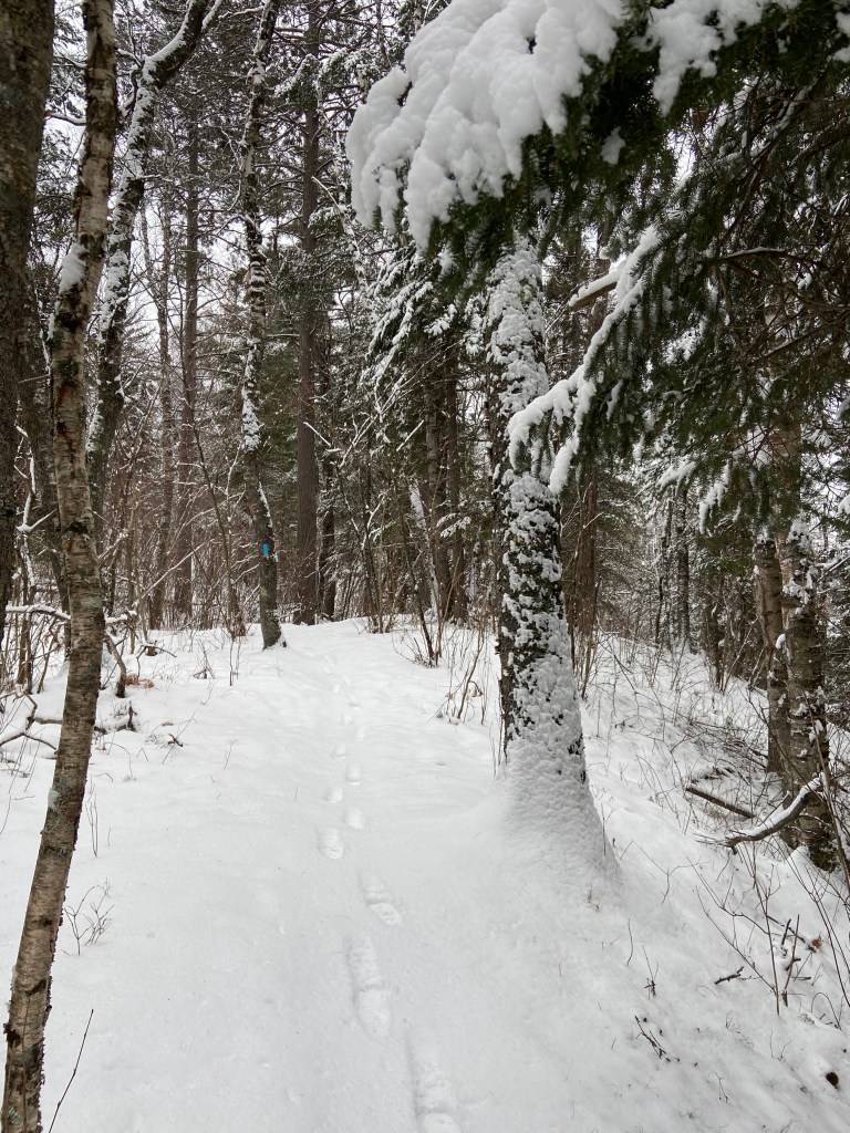 a single set of footprints in the snow