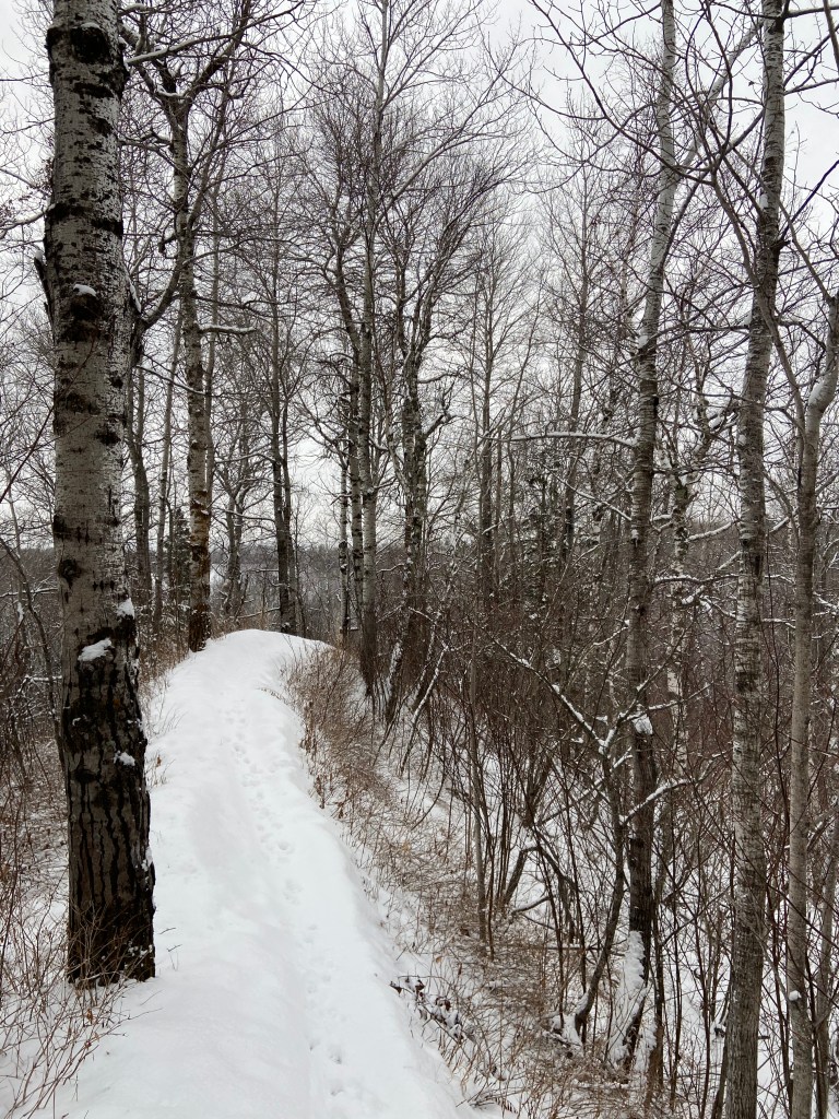 a narrow trail on a ridge