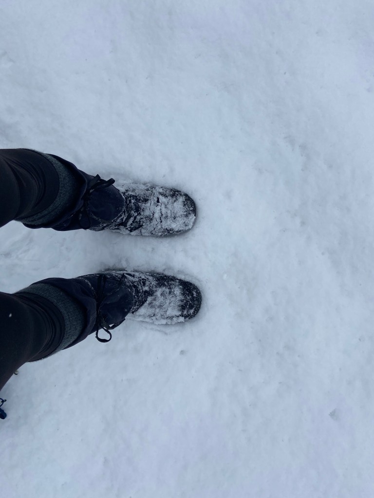 a snow covered trail with no human footprints
