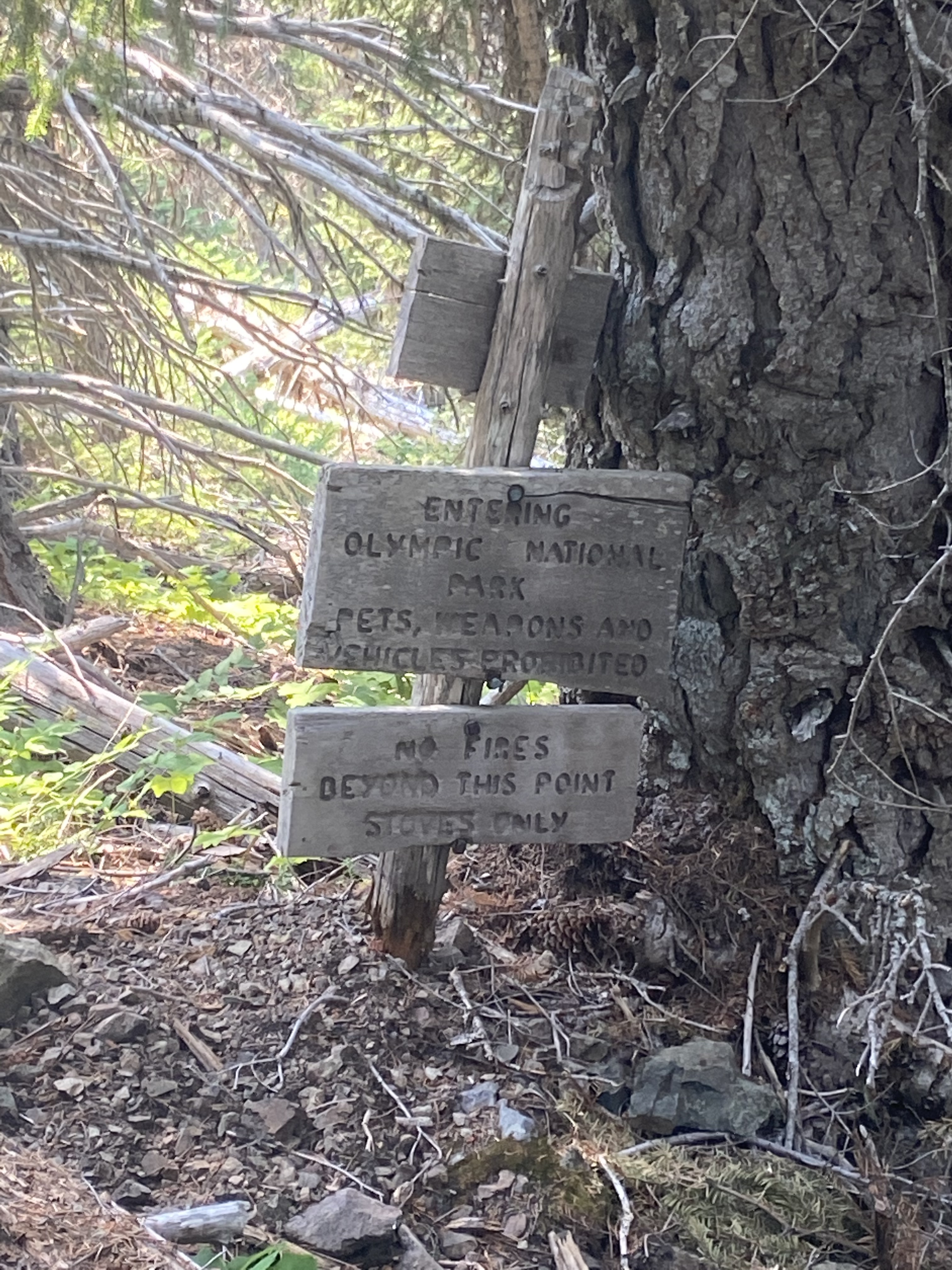 Two wooden signs saying "Entering Olympic National Park. Pets, Weapons, and Vehicles Prohibited" and "No Fires Beyond This Point. Stoves Only"