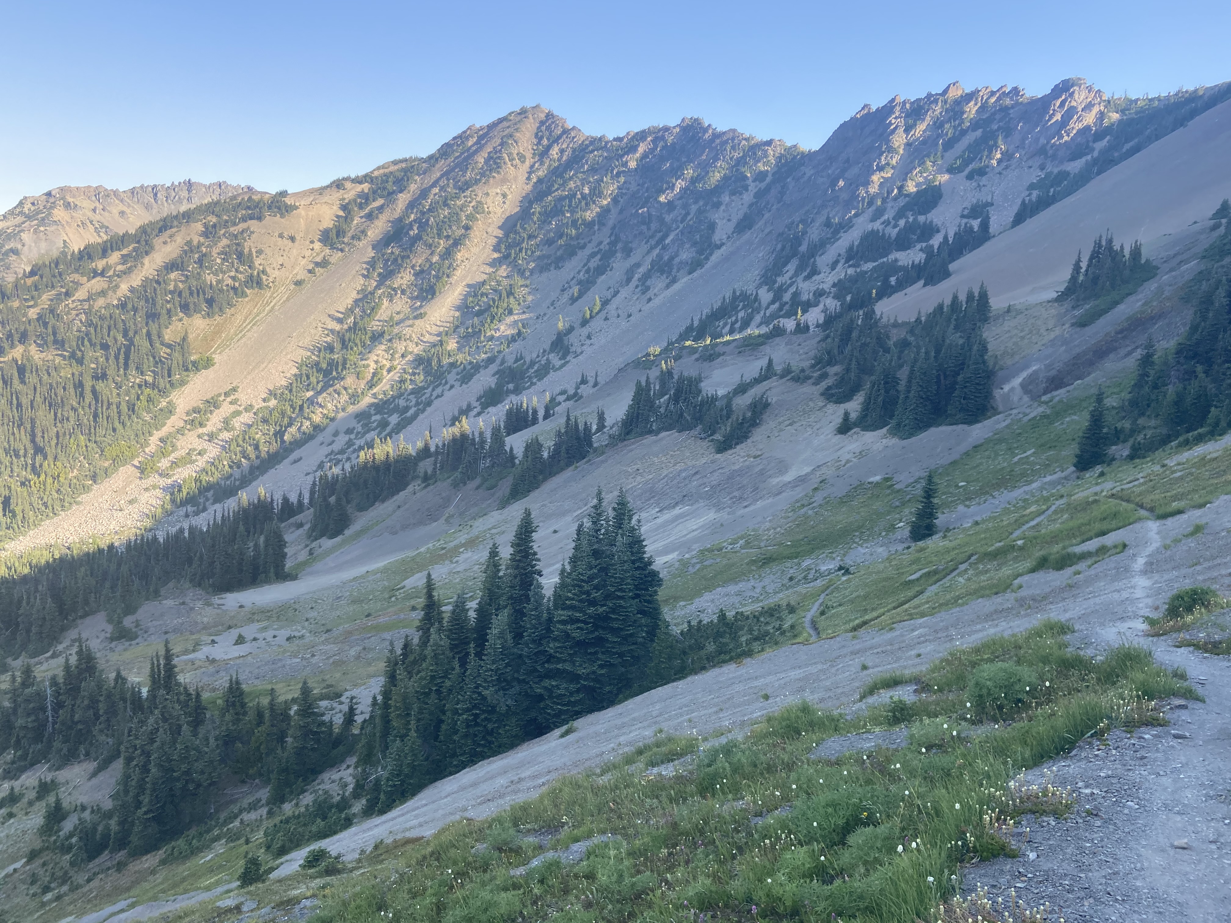 A hillside in the mountains.