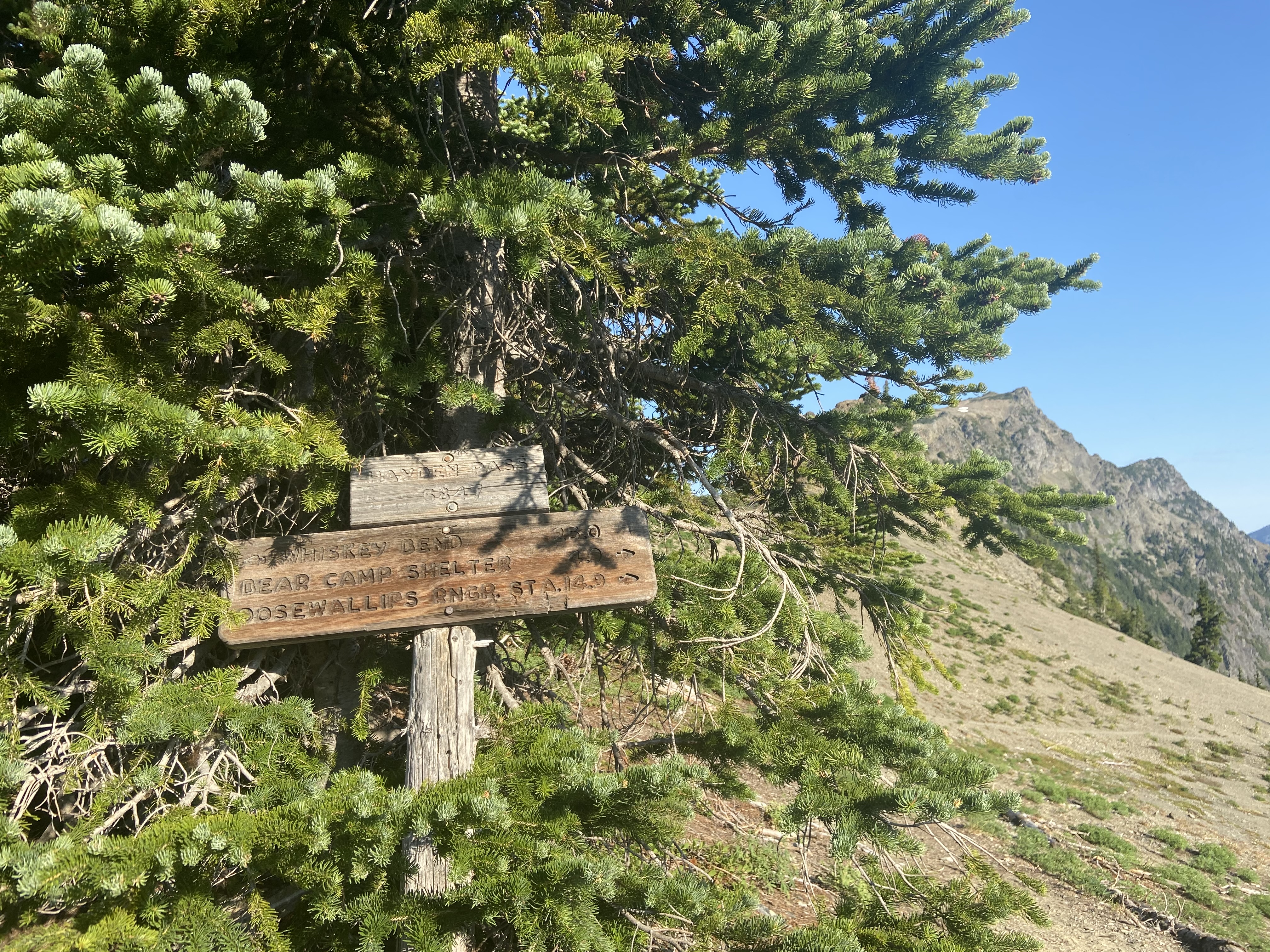 Two wooden signs. One says "Hayden Pass 5847." The other says "Whiskey Bend 25.0, Bear Camp Shelter 4.0, Dosewallips Rngr. Sta. 14.9"