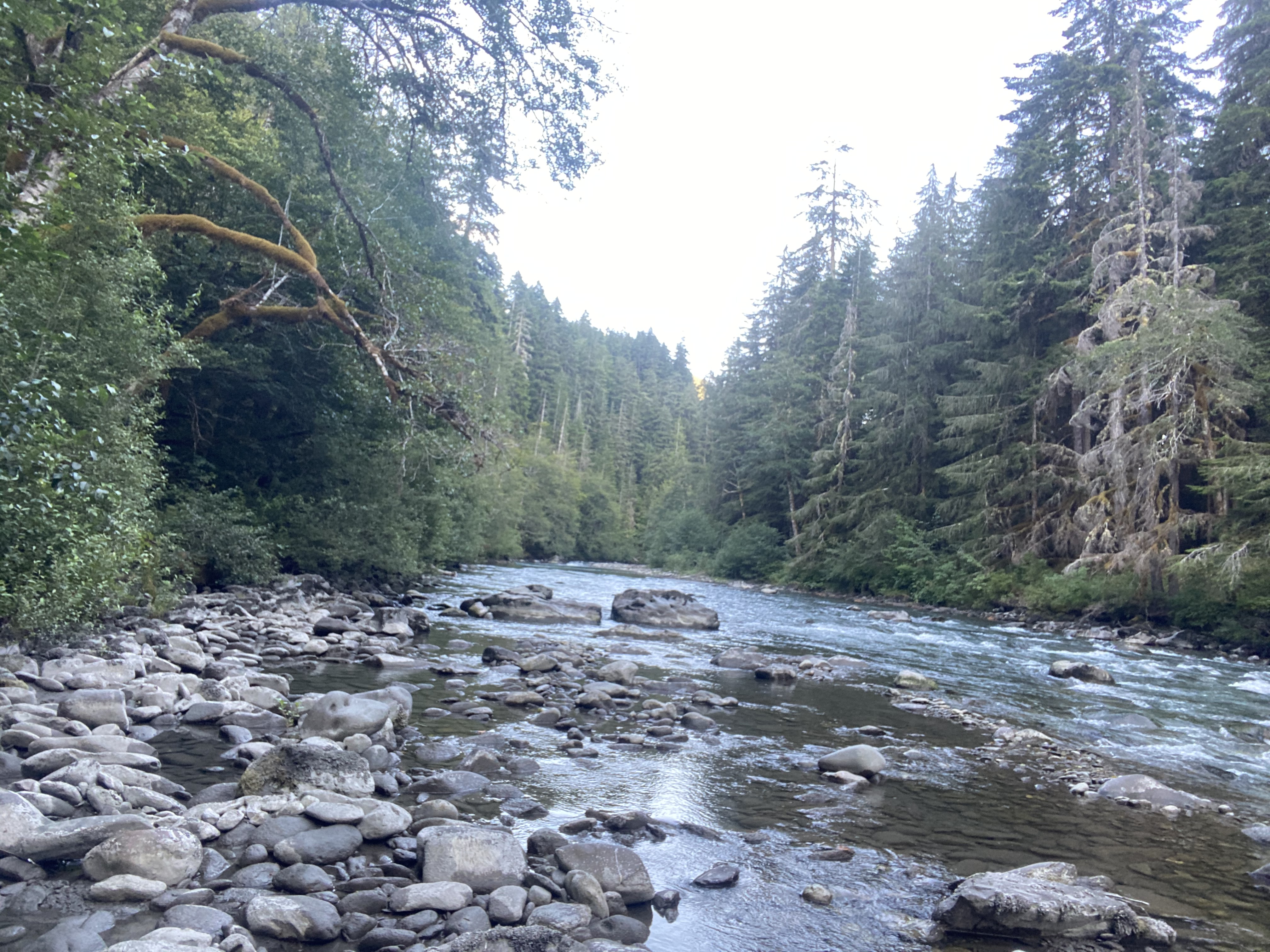 A mountain river with many exposed rocks.