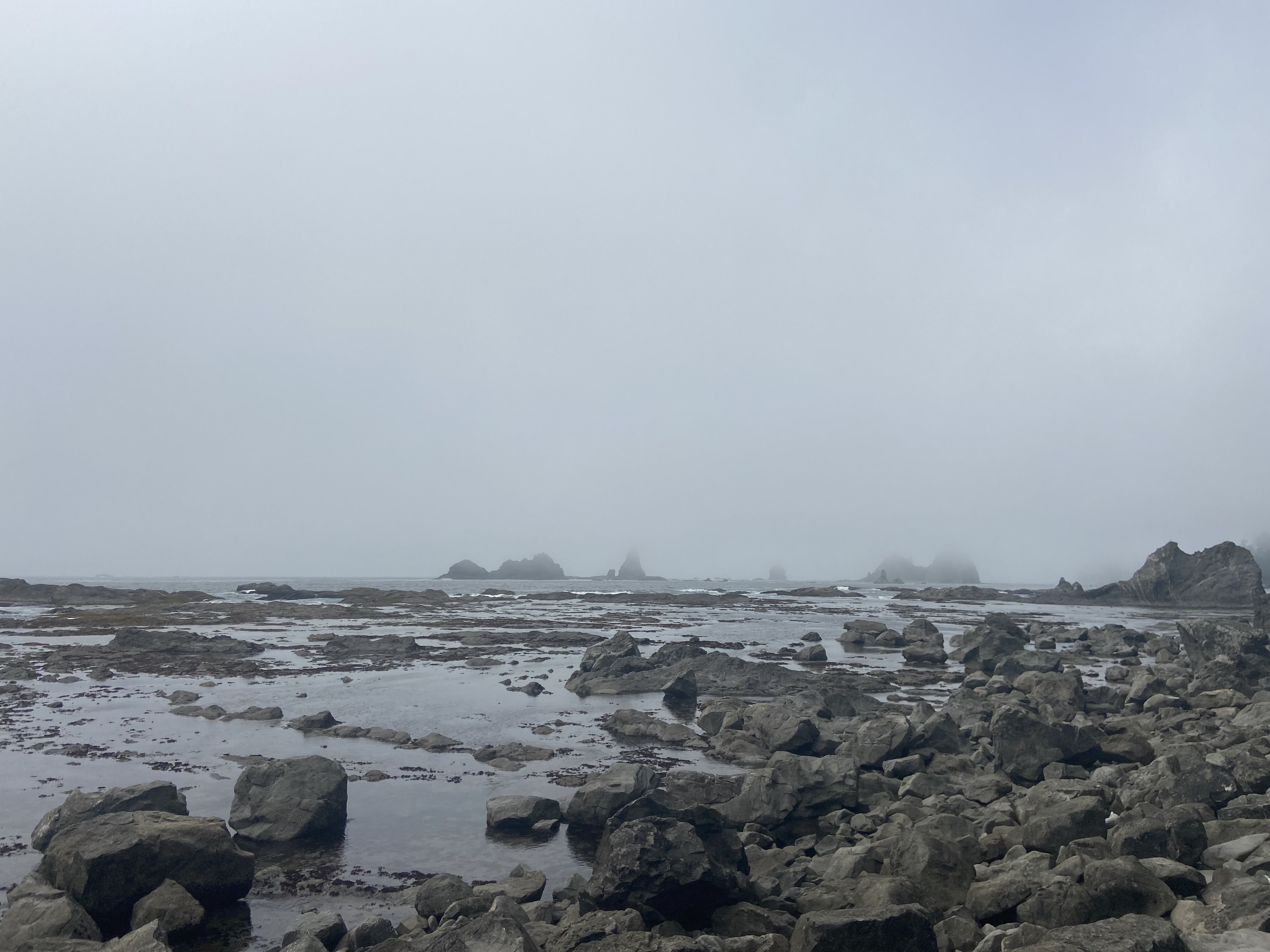 A rocky, foggy beach.