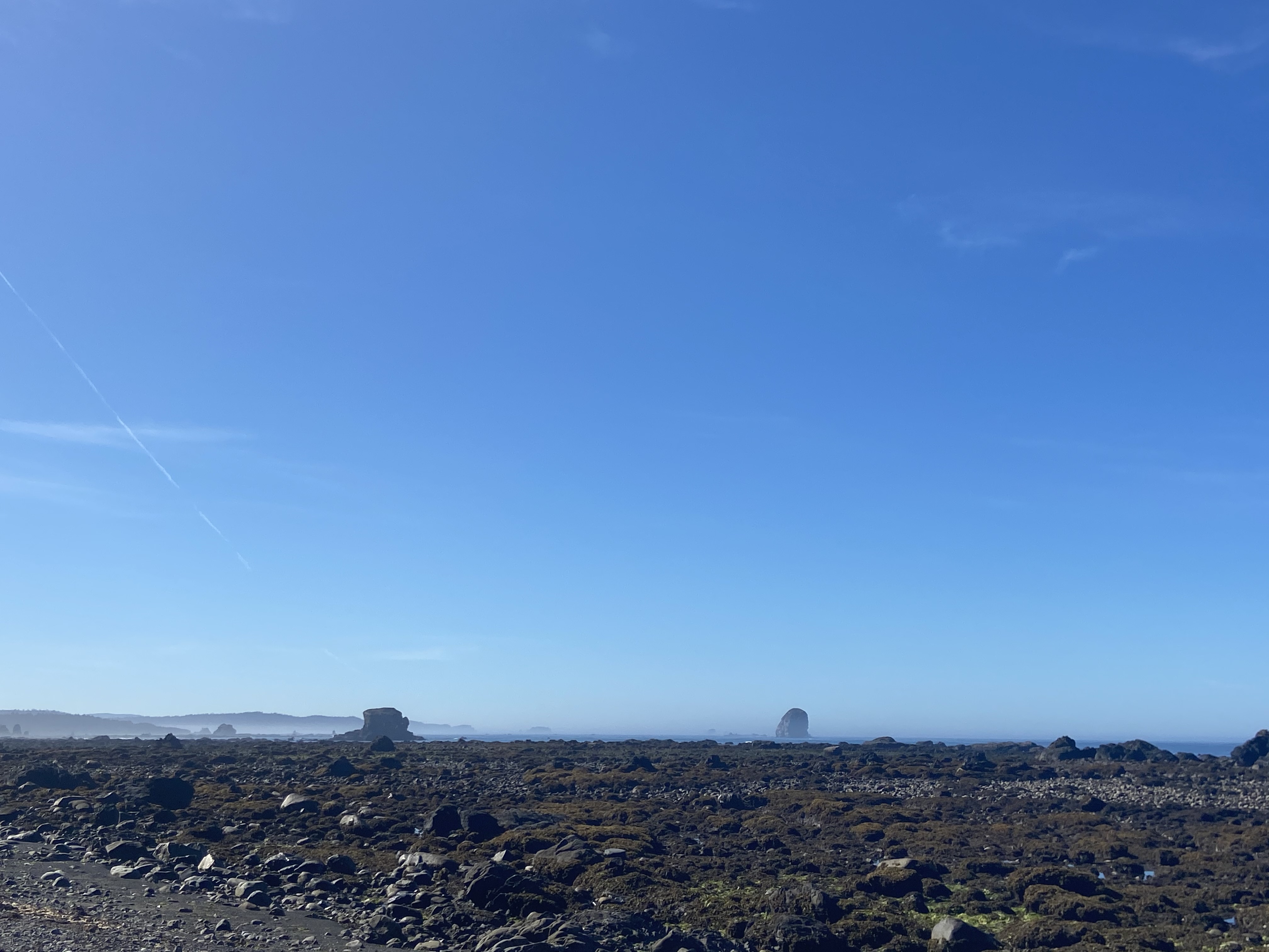 A rocky coastline at low tide.
