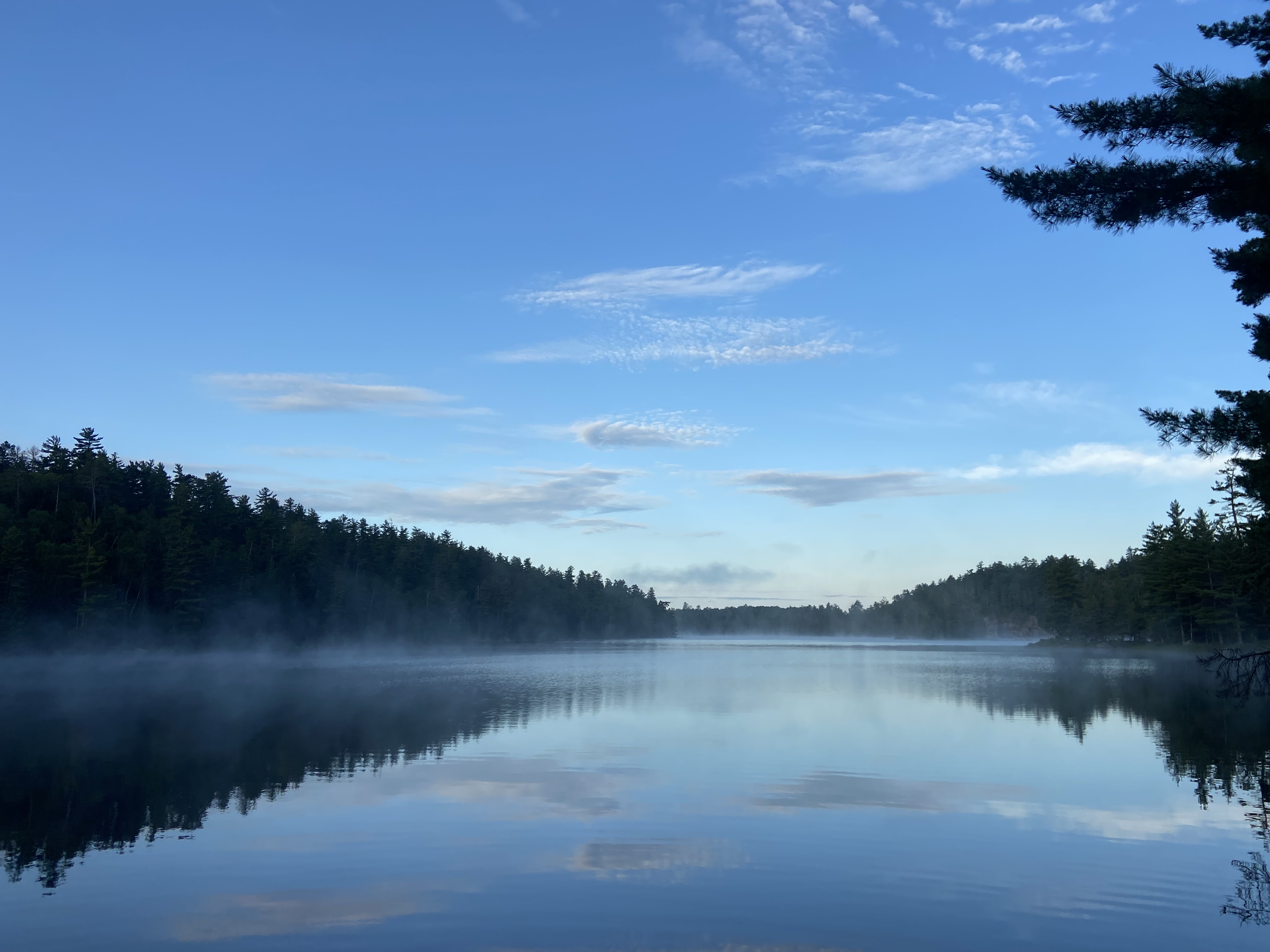 Mist rising up over a lake in the morning.