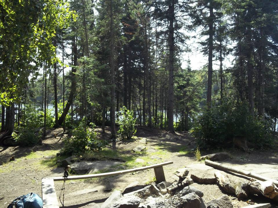 A picture of a nice, level campsite, with a lake in the background.