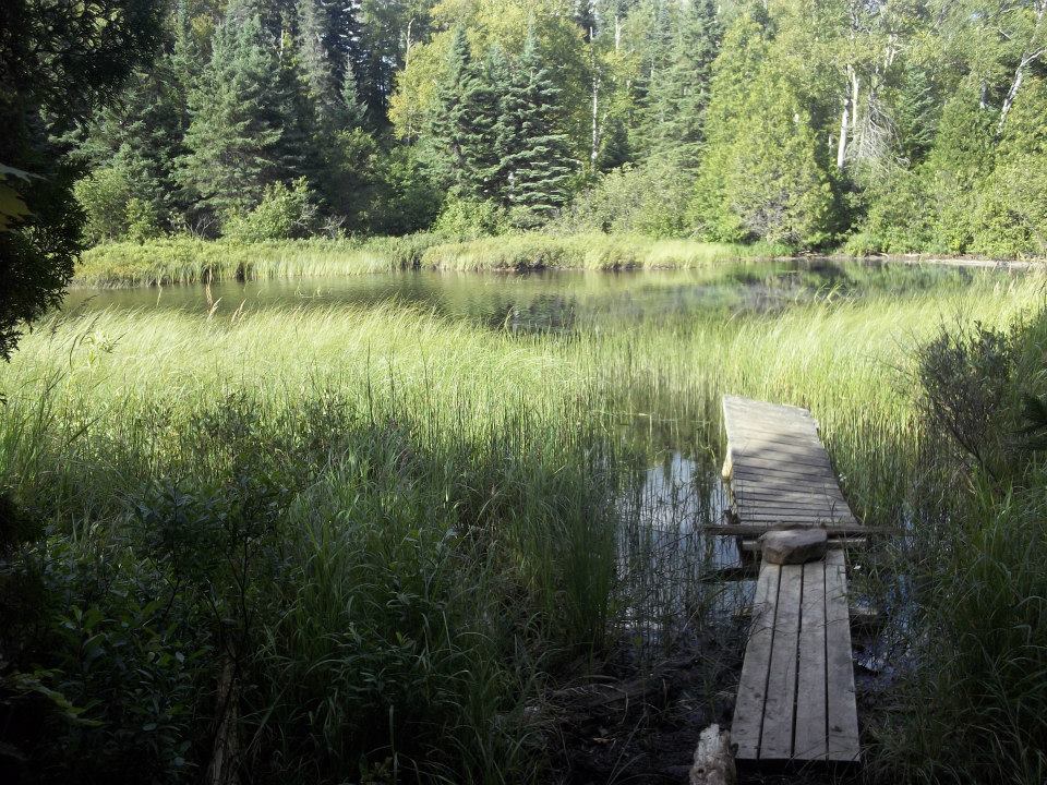 Wonky dock at a campsite. The dock is surrounded by reeds and doesn't have great access to the water.