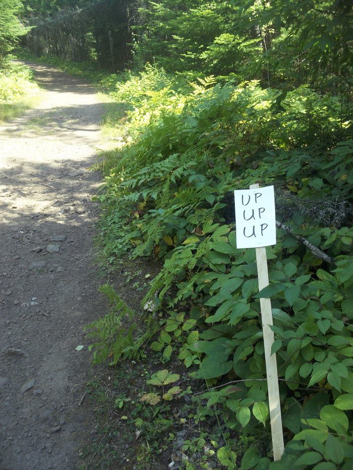 A trail with a sign posted that says "Up Up Up"