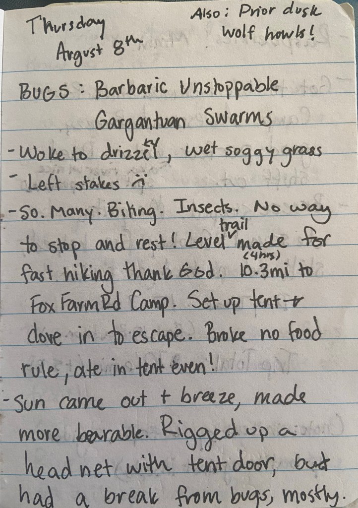 Thursday August 8th. BUGS: Barbaric Unstoppable Gargantuan Swarms. Woke to drizzel. Wet, soggy grass. Left stakes. So. Many. Biting. Insects. No way to stop and rest! level trail made for fast hiking thank God. 10.3 miles in 4 hrs to Fox Farm Rd Camp. Set up tent and dove in to escape. Broke no food rule, even ate in tent! Sun came out and breeze, made more bearable. Rigged up a head net with tent door, but had a break from bugs, mostly. Also prior to dusk wolf howls!