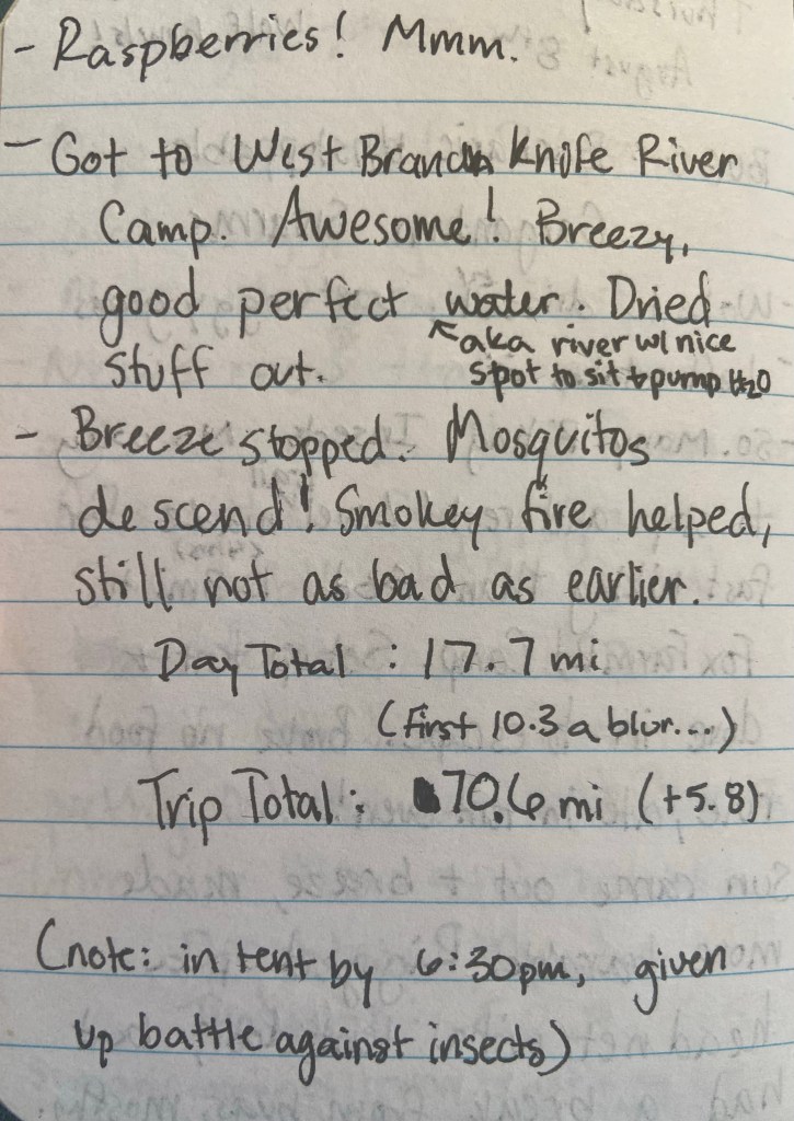 Raspberries! Mmm. Got to West Branch Knife River Camp. Awesome! Breezy, good perfect (aka river with nice spot to sit and pump H2O) water. Dried stuff out. Breeze stopped. Mosquitoes descend! Smokey fire helped, still not as bad as earlier. Day total 17.7 miles (first 10.3 a blur..) trip total 70.6 mi (+5.8). Note: in tent by 6:30pm, given up battle against insects).