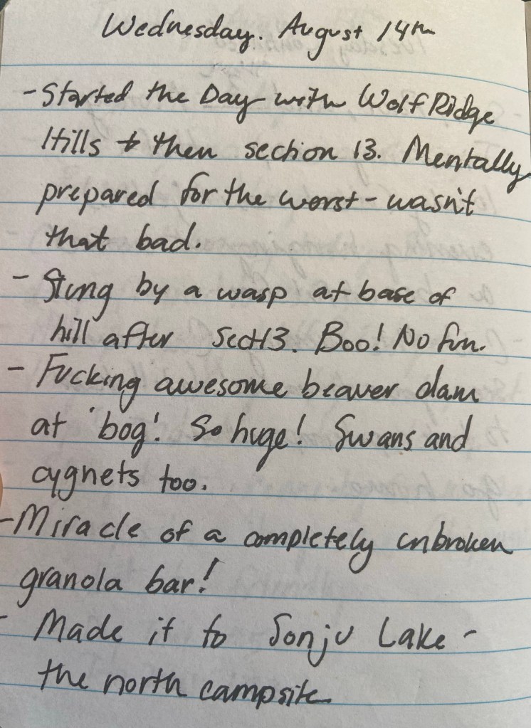 Wednesday August 14th. Started the day with Wolf Ridge Hills and then Section 13. Mentally prepared for the worst - wasn't that bad. Stung by a wasp at the base of the hill after Section 13. Boo! No fun! Fucking awesome beaver dam at "bog." So huge! Swans and cygnets too. Miracle of a completly unbroken granola bar! Made it to Sonju Lake - the north campsite.
