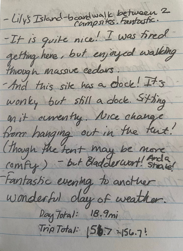 Lily's Island - boardwalk between 2 campsites. Fantastic. It is quite nice! I was tired getting here but enjoyed walking through massive cedars. And this site has a dock! It's wonky but still a dock. Sitting on it currently. Nice change from hanging out in the tent (though the tent may be more comfy). - but Bladderwort! and a Stake! Fantastic evening to another wonderful day of weather. Day total 18.9 miles trip total 156.7 miles