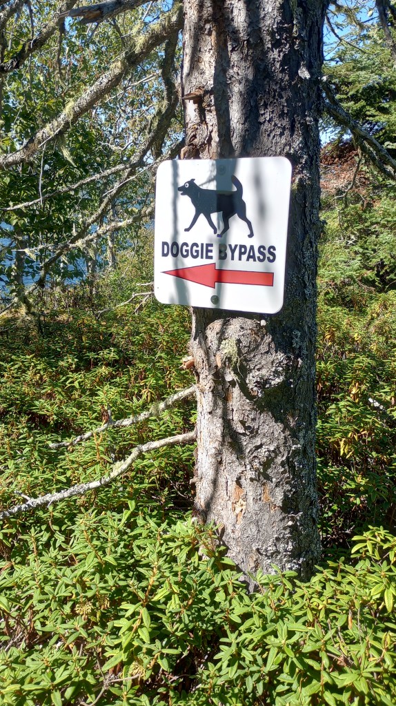 A sign that says "Doggie Bypass" with a red arrow that points to the left.