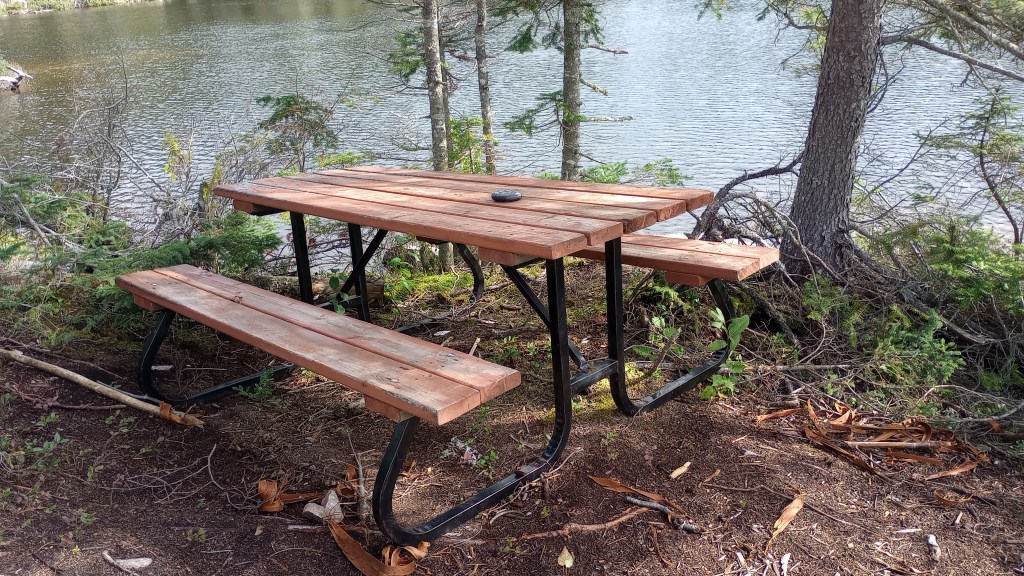 A wooden picnic table sitting next to a lake at a campsite.
