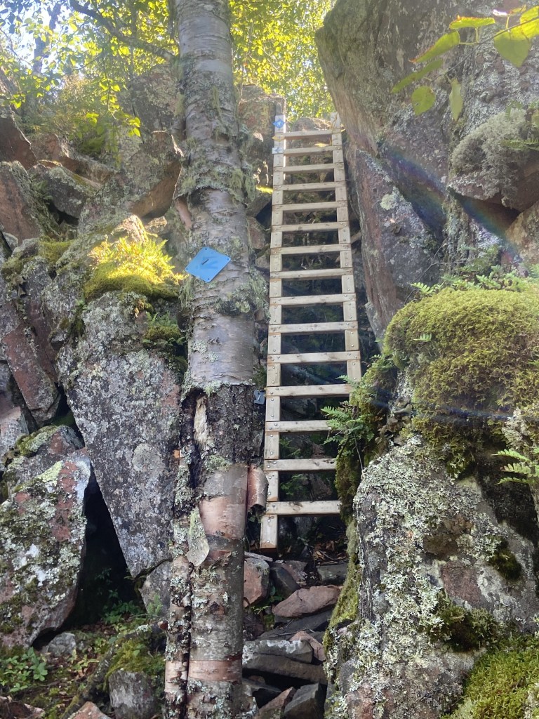 A ladder as a section of trail, leaning up against a steep rocky section.